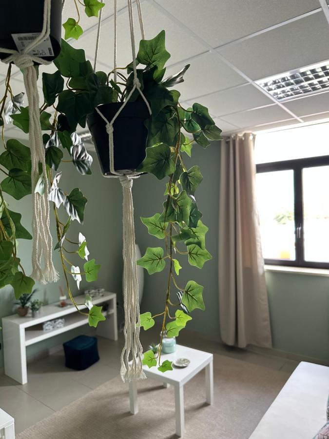 Botanical Suite Bari Extérieur photo